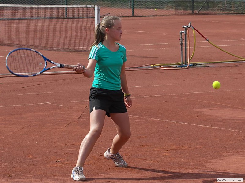 Mixed-2013-IMG_8693